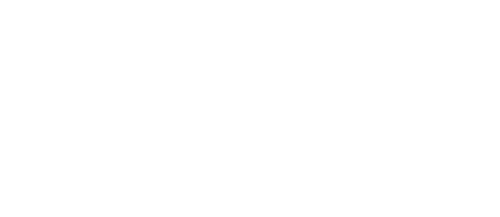 VIR logo
